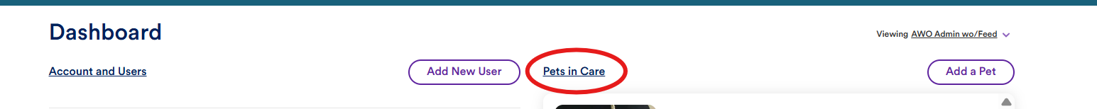 pets in care shelter dashboard.png